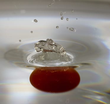 movement of a falling water tomato in water