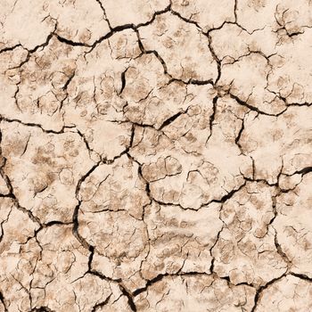 texture of dry cracked earth background .