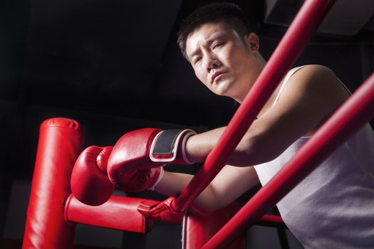 Portrait of male boxer resting his elbows on the ring side, low angle view