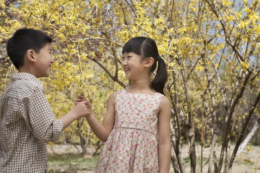 Young and smiling brother and sister showing each other the yellow blossoms in the park in springtime