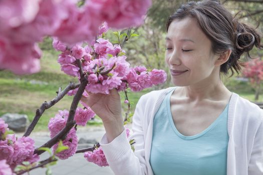 Woman smelling cherry blossoms with eyes closed.