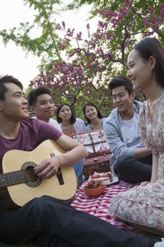 Six friends having a picnic and hanging out in the park, playing guitar and talking