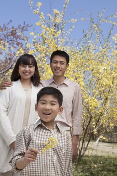 Portrait of smiling family and little boy holding a yellow flower blossom in the park in springtime