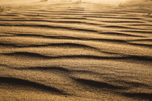 Surface level shot of the desert and the wind pattern on the sand
