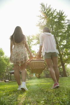 Two friends walking into a park to have a picnic and carrying a picnic basket on a spring day, rear view