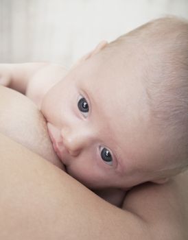 Close-up of baby breastfeeding