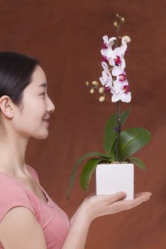 Side view of young woman holding a flower in a flower pot, studio shot
