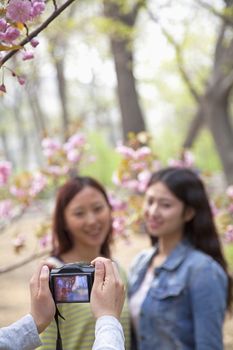 Person taking a photo of two young women outdoors in a park among the spring blossoms