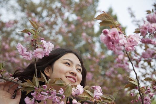 Portrait of smiling and serene young woman by beautiful pink blossoms, in the park in springtime