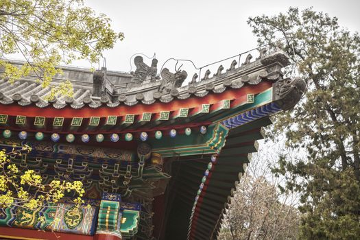 Close-up of ornate Chinese rooftop.