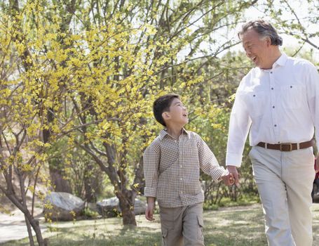 Smiling grandfather and grandson holding hands and going for a walk in the park in springtime