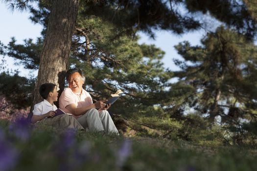 Grandfather and grandson relaxing under a tree and reading books in a park in the springtime, Beijing