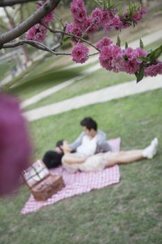 Blossoms in the foreground and young couple lying on a blanket having a picnic blurred in the background