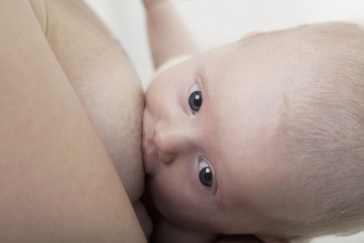 Close-up of baby breastfeeding