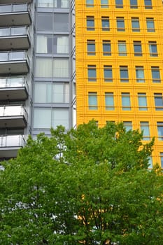 Bright Yellow building with tree