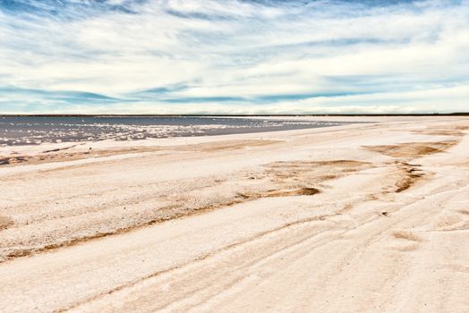 Salty shoreline on the bay Sivash, Crimea, Ukraine