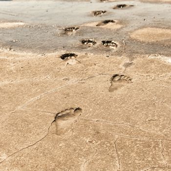 footprints in the sand on a beach