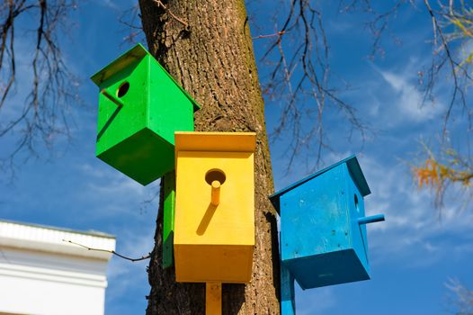 Three colorful birdhouse attached to a tree against the sky