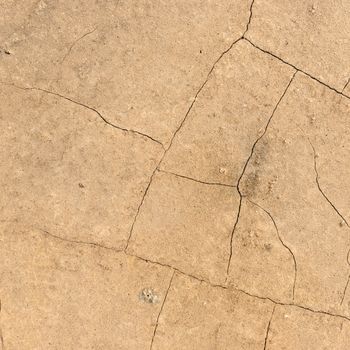 texture of dry cracked earth background .