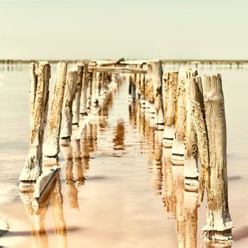 Booty of salt on the bay Sivash, Crimea, Ukraine