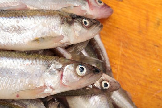 Fresh smelts fish on wooden cutting board