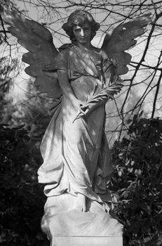 Angel statue in B/W