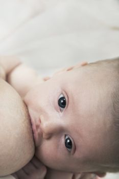 Close-up of baby breastfeeding