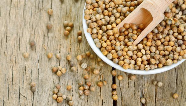 Coriander seeds isolated on a wooden background