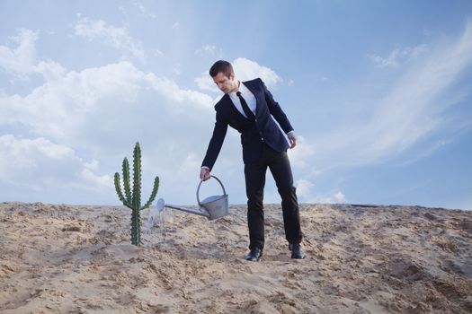 Young businessman watering a cactus in the desert