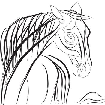 Horse head profile with mane and tail, hand drawn sketch composition isolated on white