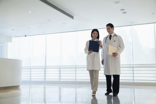 Two doctors standing and looking down at a document in the hospital, full length