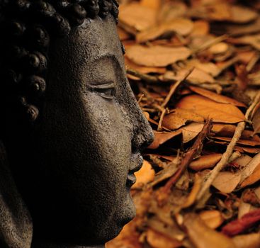 Buddhism in the autumn with beautiful orange fall leaves
