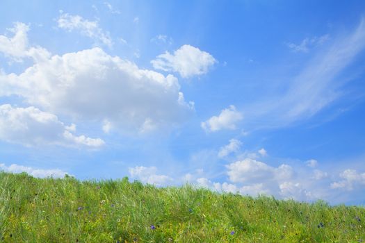 Lush, green landscape with blue sky and clouds.