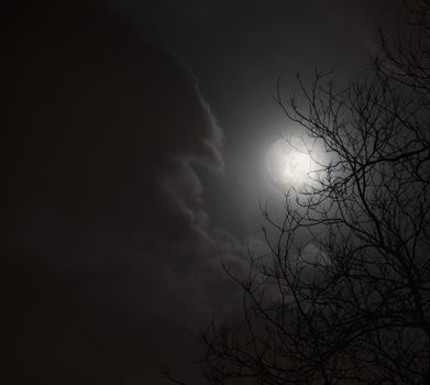 Full moon in night sky with clouds and silhouette of trees.