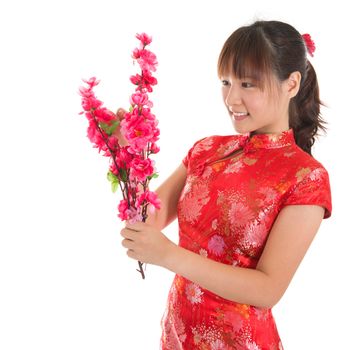 Asian woman with Chinese traditional dress cheongsam or qipao holding plum blossom flower for decorations. Chinese new year concept, female model isolated on white background.