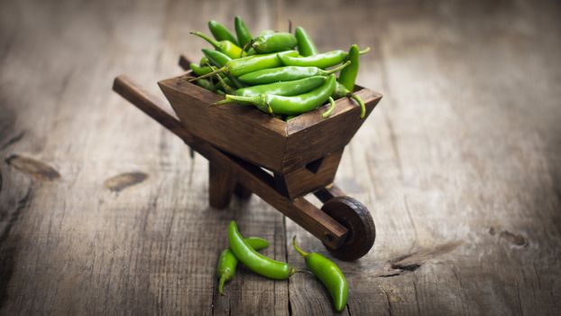 Green Jalapenos chili pepper in a miniature wheelbarrow on wood background