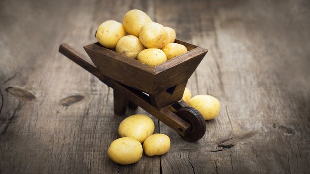 Fresh Potatos in a miniature wheelbarrow in a miniature wheelbarrow on wood background