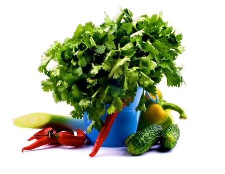 Arrangement of Fresh Parsley in Blue Bucket with Leek, Cucumbers, Yellow Bell Pepper and Chili Peppers isolated on white background