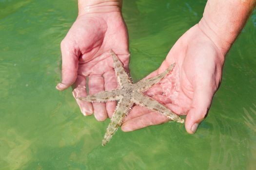 person holds a starfish on hands