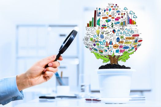 Close-up image of human hand and pot with money tree