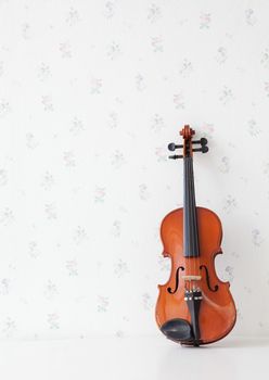 violin