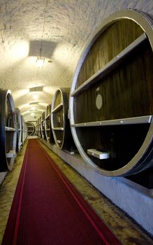 wine barrels in the cellars of the old