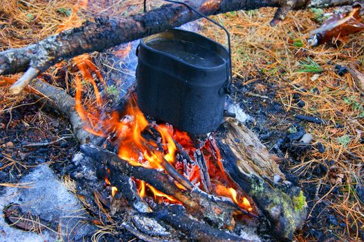 Prepare food on campfires in wood