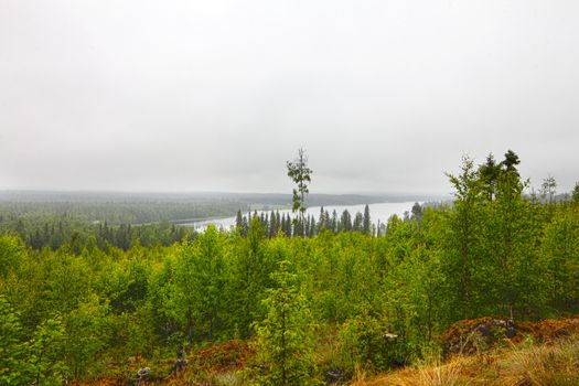 Northern landscape with forest and lakes at cloudy weather