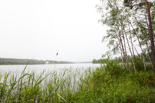 Northern landscape with forest and lakes at cloudy weather