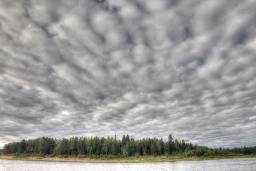 Picturesque landscape with forest and wide river