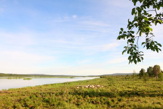 Beautiful landscape with Kemijoki river, Rovaniemi, Finland