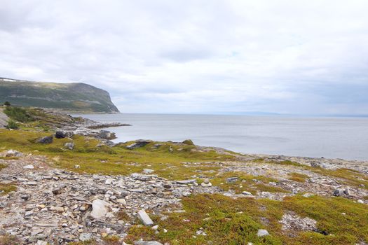 Northern Norwegian landscape with fjords, mountains and shore with moss