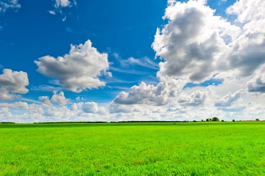 beautiful clouds over the green field on a sunny day