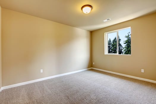 New empty room with beige carpet.. New house development in USA.